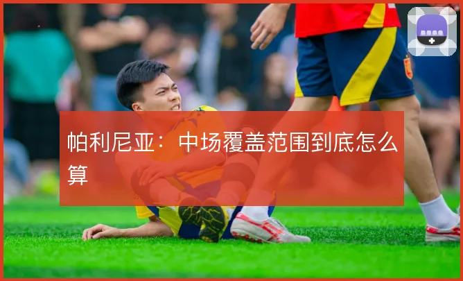 帕利尼亚：中场覆盖范围到底怎么算