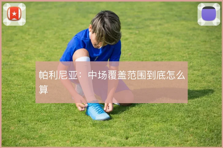 帕利尼亚:中场覆盖范围到底怎么算