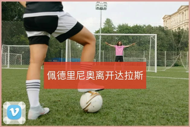 佩德里尼奥离开达拉斯